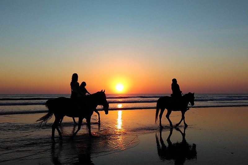 Group riding on horses at the beach